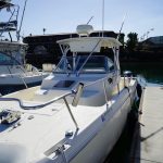  is a World Cat 266 SC Yacht For Sale in San Diego-7