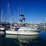 BARBARA ANNE is a Topaz 29 Express Fisherman Yacht For Sale in San Diego-1