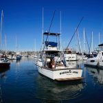 BARBARA ANNE is a Topaz 29 Express Fisherman Yacht For Sale in San Diego-3