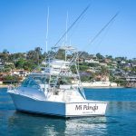  is a Cabo 35 Express Yacht For Sale in San Diego-14