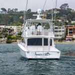 SHOCK AND AWE is a Viking Convertible Yacht For Sale in San Diego-4