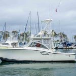  is a Albemarle 305 EXPRESS Yacht For Sale in Dana Point-1