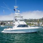 VINES & LINES is a Riviera 36 Flybridge Yacht For Sale in San Diego-1