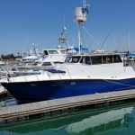 BABY BALUGA is a Pacifica 48 Sedan Sportfisher Yacht For Sale in San Diego-25