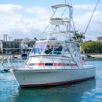  is a Crystaliner 33 Express Yacht For Sale in Newport Beach-2