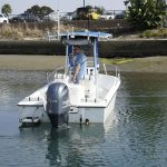  is a Edgewater 185CC Yacht For Sale in San Diego-3