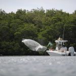 Boston Whaler 240 Dauntless Pro Fishing