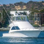 WHITE MARLIN is a Cabo Flybridge Yacht For Sale in San Diego-3