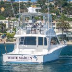 WHITE MARLIN is a Cabo Flybridge Yacht For Sale in San Diego-1
