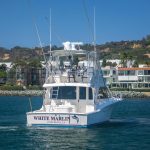 WHITE MARLIN is a Cabo Flybridge Yacht For Sale in San Diego-6