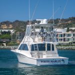 WHITE MARLIN is a Cabo Flybridge Yacht For Sale in San Diego-7