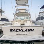 BACKLASH is a Cabo Express Yacht For Sale in La Paz-23