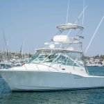 BACKLASH is a Cabo Express Yacht For Sale in La Paz-1