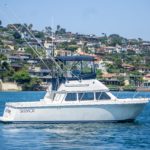 Miss My Money is a Skipjack 30 Flying Bridge Yacht For Sale in San Diego-1