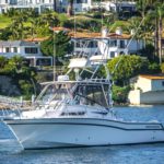Tunacious is a Grady-White Marlin 300 Yacht For Sale in San Diego-2