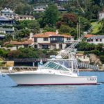 Black Jack is a Cabo 32 Yacht For Sale in San Diego-1