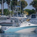  is a Sea Fox 256 Walk Around Pro Series Yacht For Sale in San Diego-1
