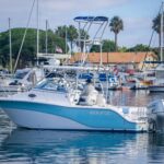  is a Sea Fox 256 Walk Around Pro Series Yacht For Sale in San Diego-2