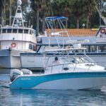  is a Sea Fox 256 Walk Around Pro Series Yacht For Sale in San Diego-4