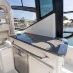 East Coast Accent is a Boston Whaler 325 Conquest Yacht For Sale in Dana Point-25