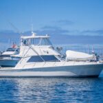 Play’n Hooky is a Riviera 43 Convertible Yacht For Sale in San Diego-37