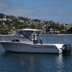  is a Grady-White Marlin 300 Yacht For Sale in San Diego-2