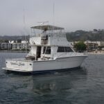 Western Belle is a Tiara Yachts 4300 Convertible Yacht For Sale in San Diego-2