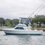 Pacifico is a Blackfin 33 Convertible Yacht For Sale in San Diego-1