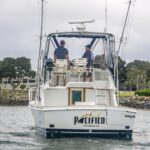 Pacifico is a Blackfin 33 Convertible Yacht For Sale in San Diego-3