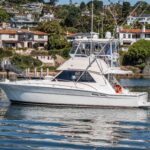 Sunny 1 is a Riviera 36 Flybridge Yacht For Sale in San Diego-1