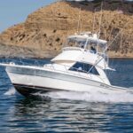 Sunny 1 is a Riviera 36 Flybridge Yacht For Sale in San Diego-11