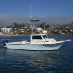 My Island is a Parker 2820 XLD Sport Cabin Yacht For Sale in San Diego-5