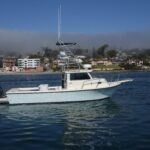 My Island is a Parker 2820 XLD Sport Cabin Yacht For Sale in San Diego-4