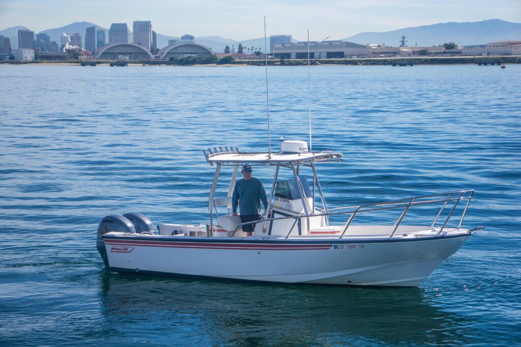 best deepsea fishing reels All Saltwater Reels From Your Favorite Brands