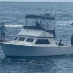 Nyki G is a Blackman Sportfisher 32 Yacht For Sale in San Diego-5