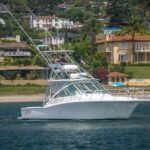 Paloma Blanca is a Cabo 32 Express Yacht For Sale in San Diego-1